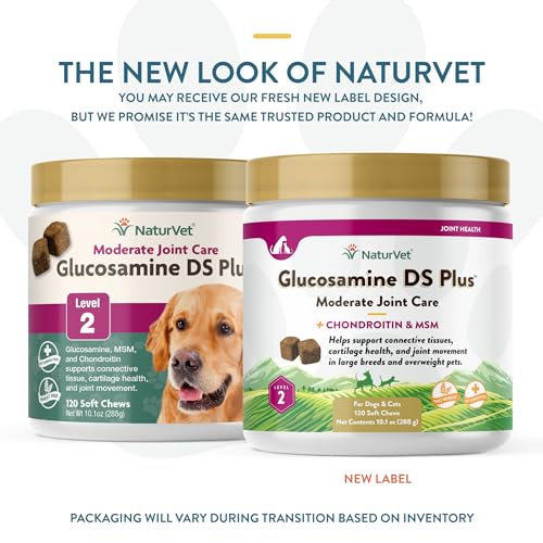 – Glucosamine DS Plus - Level 2 Moderate Care – Supports Healthy Hip & Joint Function – Enhanced with Glucosamine, MSM & Chondroitin – for Dogs & Cats–120 Soft Chews