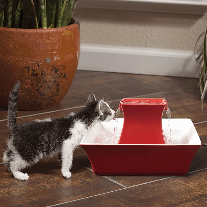 Drinkwell Pagoda Pet Fountain - From in Knoxville, TN - Dog Water Bowl Dispenser - Multiple Angles to Drink From - Filters Included - Dog Fountain Provides Water When Power’s Out - Red