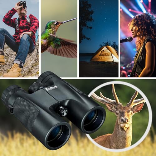10 x 42 Powerview Roof Prism Binocular