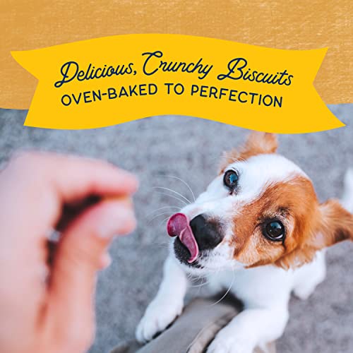 Limited Ingredient Rewards Crunchy Biscuits, Bite-Size Grain-Free Dog Treats for Small-Breed Dogs, Made with Real Duck, 8 Ounce (Pack of 1)