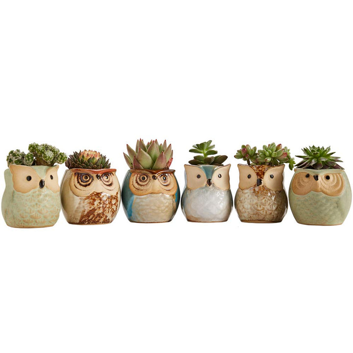 Owl Pot Ceramic Flowing Glaze Base Serial Set Succulent Plant Pot Cactus Plant Pot Flower Pot Container Planter with Drainage Hole Home Office Desk Garden Gift Idea 6pcs 2.5 Inch