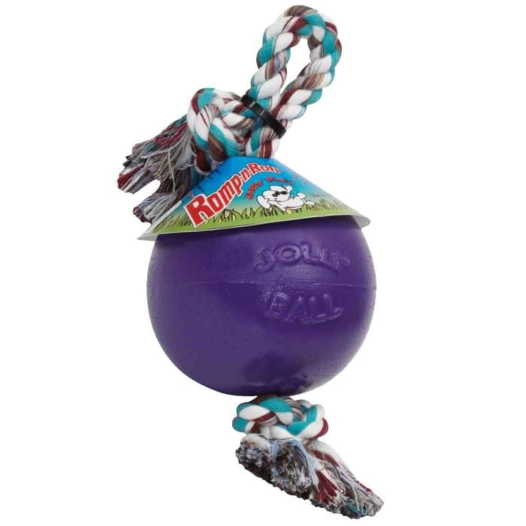 Romp-n-Roll Rope and Ball Dog Toy, 8 Inches/Large, Purple, Large Breeds