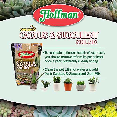 10404 Organic Cactus and Succulent Soil Mix, 4 Quarts, Brown/A