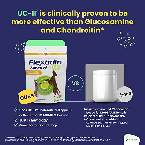 Flexadin Advanced Dog Hip and Joint Supplement with UC-II Collagen, One Chew a Day Hip and Joint Support Chew for Dogs and Cats, Clinically Proven Vet-Approved Formula, 60 Chews