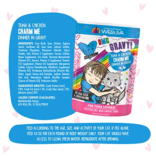 B.F.F. OMG - Best Feline Friend Oh My Gravy! Tuna & Chicken Charm Me with Tuna & Chicken in Gravy Cat Food, 3oz Pouch (Pack of 12)