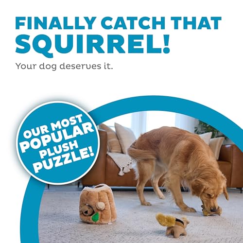 Hide A Squirrel Plush Dog Toy Puzzle, Large