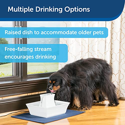 Drinkwell Pagoda Ceramic Cat & Dog Water Fountain, 70oz Capacity, Encourages Hydration, Open Bowl Design, White
