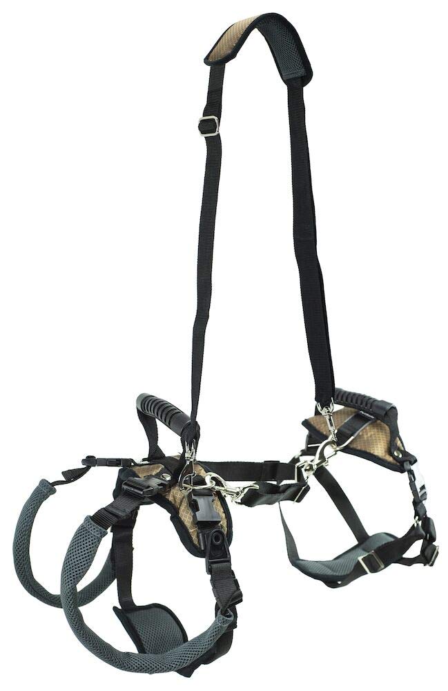CareLift Support Harness - Full Body Lifting Aid with Handle - Great for Pet Mobility and Older Dogs - Comfortable, Breathable Material - Easy to Adjust, Medium
