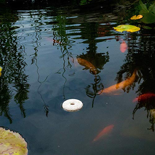 Mosquito Dunks 102-12 Mosquito Killer for Bird,Fish, 2 Pack