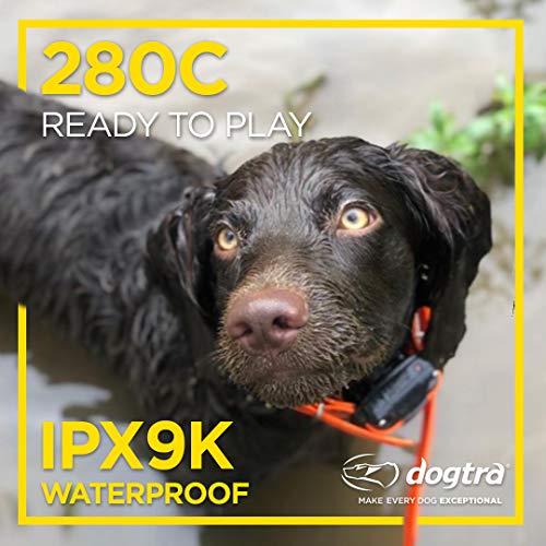 280C Waterproof 127-Level Precise Control LCD Screen 1/2-Mile Remote Training Dog E-Collar