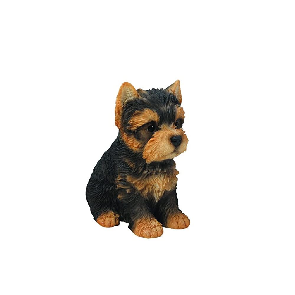 Sitting Yorkshire Terrier Puppy, Brown/Black, 6.5