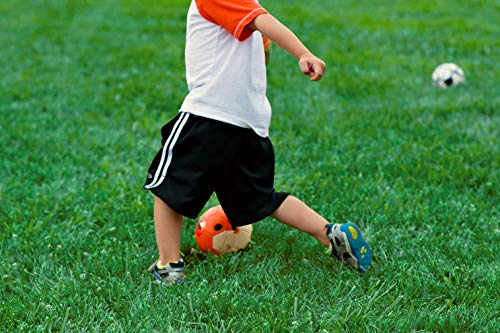 Kid and Toddler Soccer Ball - Size 1 and Size 3, Pump and Gift Box Included (Size 1, Terry, The Fox)