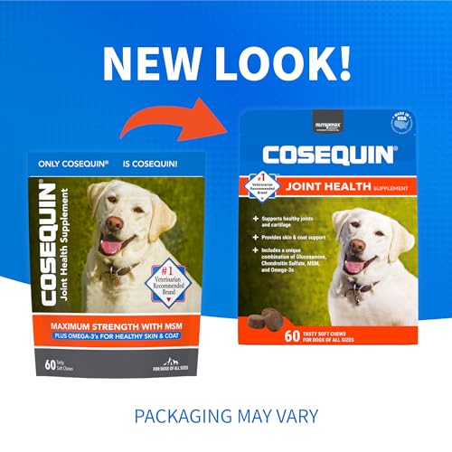Nutramax Cosequin Joint Health Supplement for Dogs - With Glucosamine, Chondroitin, MSM, and Omega-3's, 60 Soft Chews