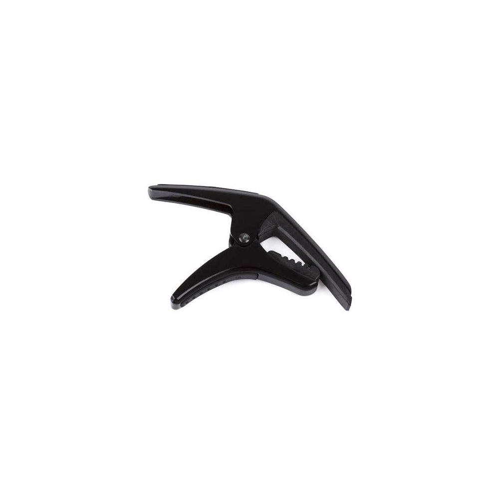 Phoenix Capo