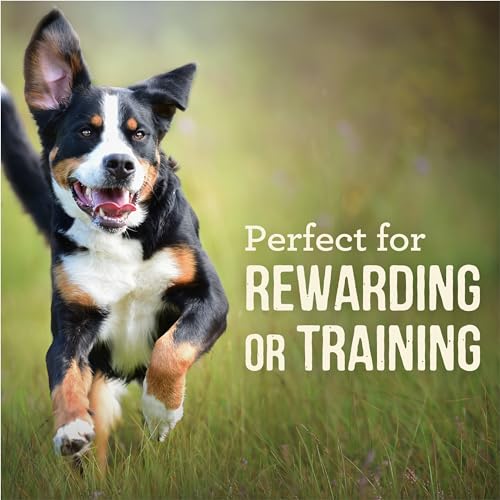 Power Bites Natural Soft And Chewy Real Meat Dog Treats, Grain Free Snack With Real Rabbit Recipe - 6 oz. Bag
