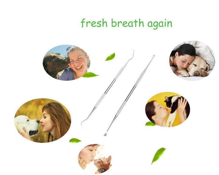 Dog Teeth Cleaning Tools Tarter Remover Canine Dental Scraper Scaler Tools Pet Tooth Cleaner Stainless Steel with Double Head