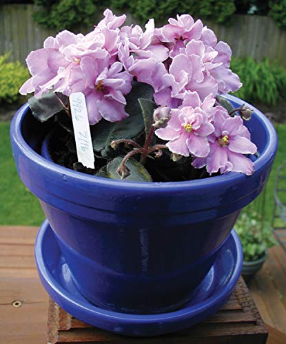 Grower's Edge Plant Labels - Plant Stakes, White, Box of 1000