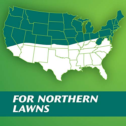 Turf Builder Grass Seed Dense Shade Mix, Grows With As Little As 3 Hours of Sunlight, 3 lbs.