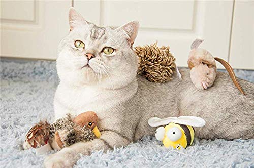 Interactive Cat Toys Animal Sound Bird/Mouse/Bee Interactive Squeaking Cat Toys Melody Chaser & Toys for Cats to Play Alone, Play and Squeak Kitten Toys for Boredom