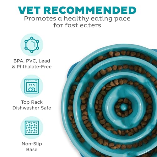 Fun Feeder Slo Bowl, Slow Feeder Dog Bowl, Large/Regular, Turquoise
