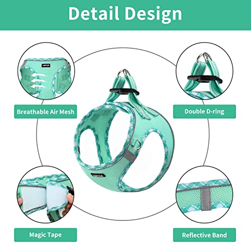 Small Dog Harness with Leash Set, No Escape Easy Walk Puppy Harnesses for Training Walking, Step-in Reflective Soft Dogs Vest for XS S Medium Extra-Small Large Sized Dog(Green,S)