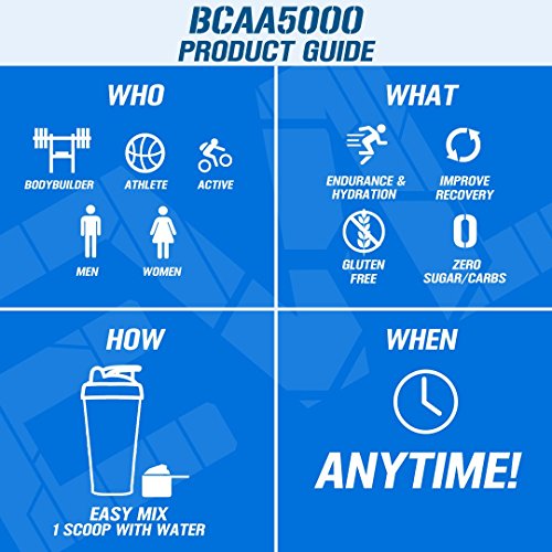 EVL BCAAs Amino Acids Powder - BCAA Powder Post Workout Recovery Drink and Stim Free Pre Workout Energy Drink Powder - 5g Branched Chain Amino Acids Supplement for Men - Unflavored Powder