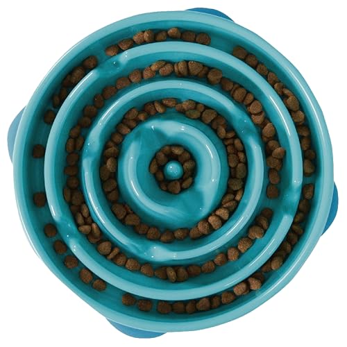 Fun Feeder Slo Bowl, Slow Feeder Dog Bowl, Large/Regular, Turquoise