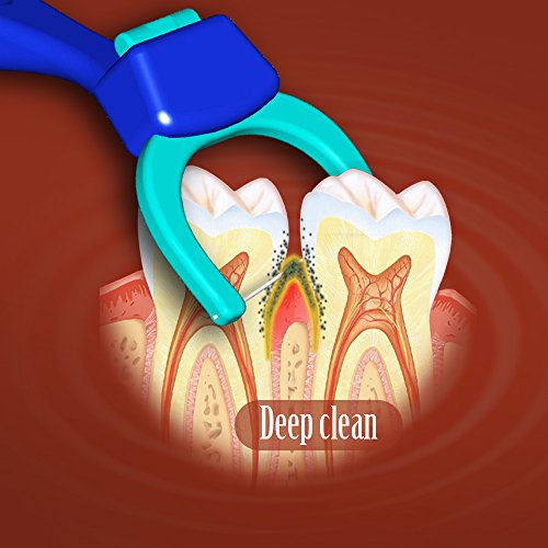 Evolutionary Clean Dental Flossers, Kit of Refills Plus Mid-Length Handle (1 Handle + 100 Refills)