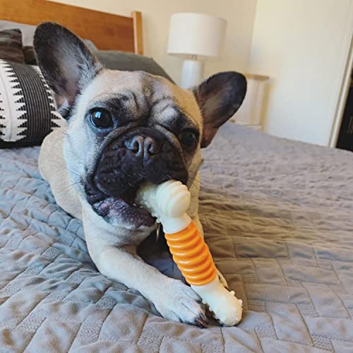 PRO Action Power Chew Durable Dental Chew Toy for Dogs, Bacon Flavor, Small/Regular (1 Count)
