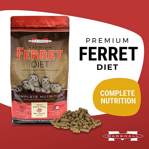 Premium Ferret Diet Dry Food, 4 lbs – Balanced Nutrition for Ferret Health, Supports Digestion, Muscle Maintenance & Energy Levels