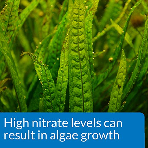 NITRATE 90-Test Freshwater and Saltwater Aquarium Water Test Kit