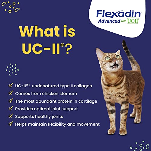 Flexadin Advanced Dog Hip and Joint Supplement with UC-II Collagen, One Chew a Day Hip and Joint Support Chew for Dogs and Cats, Clinically Proven Vet-Approved Formula, 60 Chews