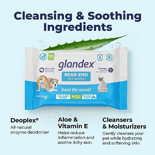 Labs Glandex Dog Wipes for Pets Cleansing & Deodorizing Anal Gland Hygienic Dog & Cat Wipes with Vitamin E, Skin Conditioners and Aloe (100ct Pouch)