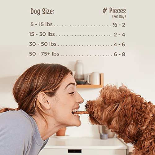 Chicken Nuggets Healthy All Natural Dog Treats Human Grade Made in USA 12 oz