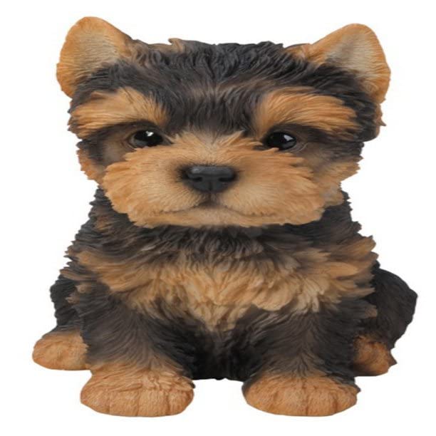 Sitting Yorkshire Terrier Puppy, Brown/Black, 6.5