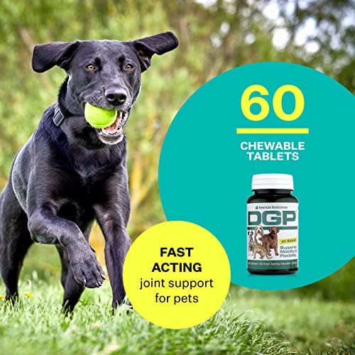 DGP All-Natural Joint Supplement for Dog Hip & Joint Support with Turmeric, Boswellia Extract, Feverfew - Quick Mobility Support - 60 Chew Tabs for Pets