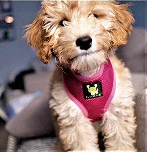 Dog Harness - Max Comfort Luxurious Soft Mesh - Over The Head No Pull & No Choke Halter Harness Vest - Eco-Friendly Body Harness for Puppy, Toy Breeds, Small & Medium Dogs (Medium, Pink)