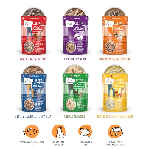 Cats in the Kitchen, Pantry Party Pouch Variety Pack in Gravy Cat Food, 3oz Pouch (Pack of 12)