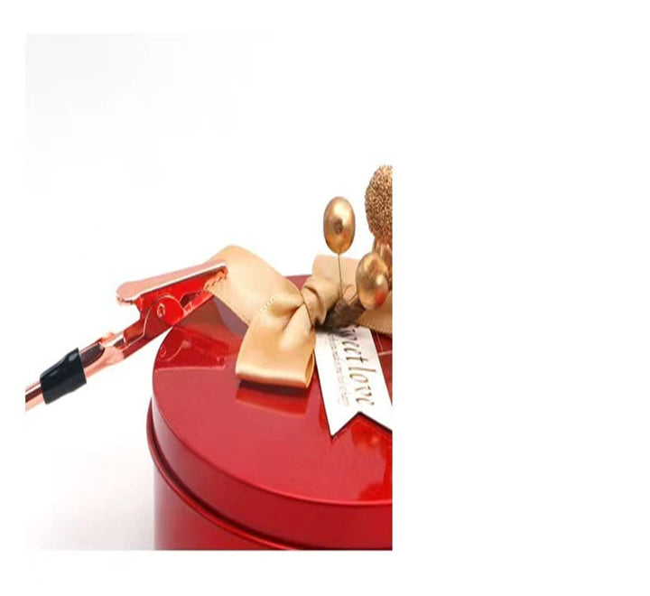 Bracelet Tool Jewelry Helper & Jewelry Clasps and Closures Fastener with Watch Clasps Hand Bracelet Helpers Fastening Hooking Equipment for Bracelet Necklace Watch Clasps Zipper Gift