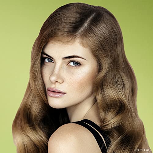 Shampoo, Avocado & Argan Oil, 10.1 Ounce