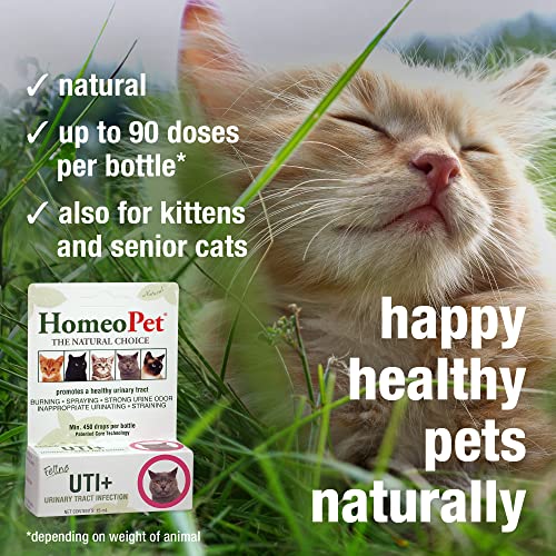 Feline UTI Plus, Safe and Natural Urinary Tract Medicine for Cats, Feline Urinary Tract Support, 15 Milliliters