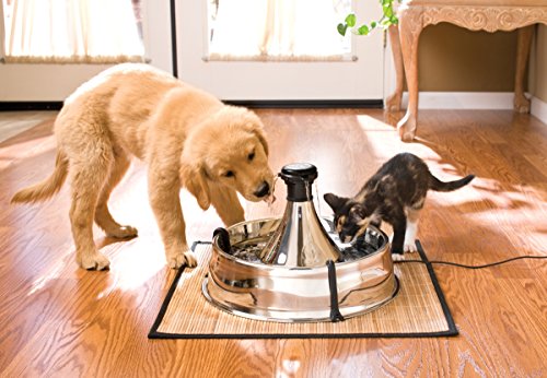 Drinkwell Stainless Steel 360 Multiple Pet Fountain - Scratch and Rust Resistant Automatic Water Dispenser for Cats or Dogs - Adjustable Flow Control - 128 Ounce (3.8 Liter) - Filters Included