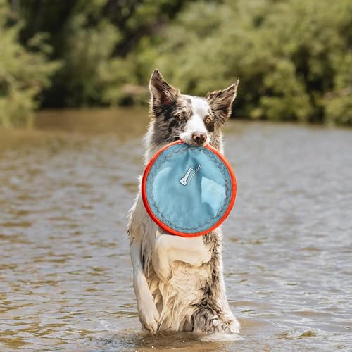 Paraflight Flying Disc Dog Toy - Water Floating Flyer - Durable Nylon Construction with Soft Rubber Edges - For Medium and Large Dogs - Size Large - 9.75 L x 9.75 W - Pack of 1