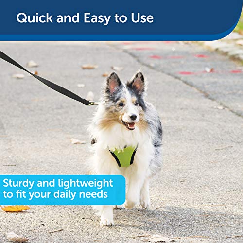Nylon Dog Leash – Strong, Durable, Traditional Style Leash with Easy to Use Bolt Snap for Small, Medium and Large Dogs – 3/8 x 6', Black