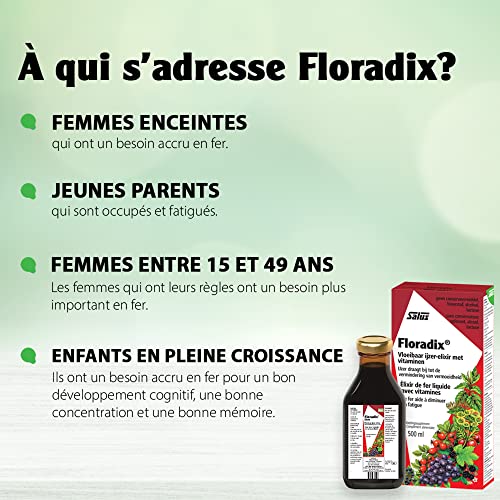 Floradix Liquid Iron and Vitamin Formula 250ml