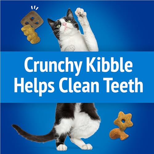 Purina Cat Treats, Party Mix Beachside Crunch - 20 oz. Canister