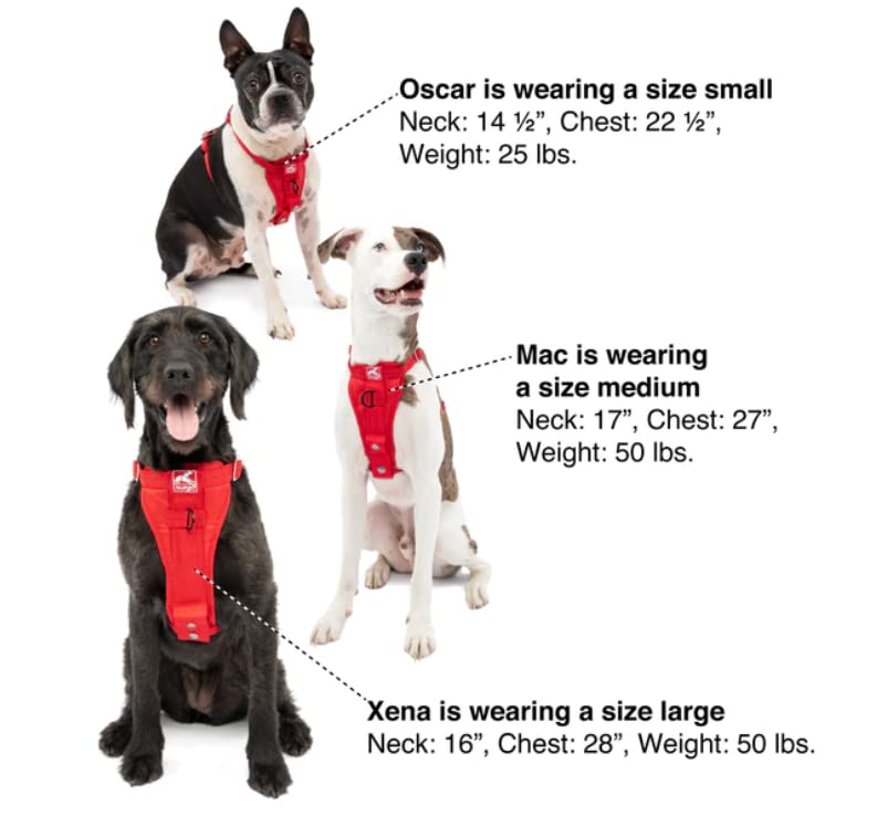 Tru-Fit Enhanced Strength Dog Harness - Certified Crash Tested Car Safety Harness for Dogs - Metal Buckles, Padded Chest - Includes Pet Seatbelt - No Pull Training - Black, Small
