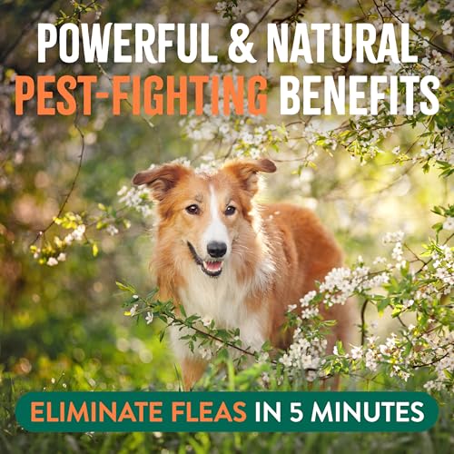 Max Strength Flea and Tick Treatment Spray for Home, Safe Prevention Around Kids, Powerful & Natural Defense, Made in USA, 32oz