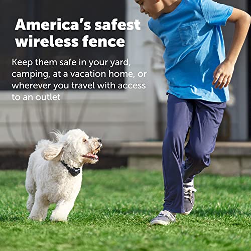 Stay & Play Wireless Pet Fence with Replaceable Battery Collar – for Dogs & Cats Over 5 lb – Waterproof Receiver Collar Tone & Static Correction – from Parent Company of Invisible Fence Brand