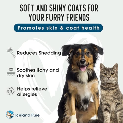 Sardine Anchovy Oil | 1296mg Omega | Unscented Pharmaceutical Grade | For Dogs & Cats | BPA-Free Brushed Aluminum Epoxy Coated Bottle with Pump 33 OZ